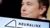 Biểu tượng của Neuralink và ảnh của tỷ phú Elon Musk.